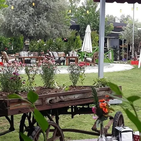 Doga * Bahtili